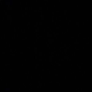 Meet your Posher, Alejandro